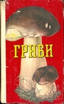Гриби їстівні,умовно їстівні,неїстівні,отруйні